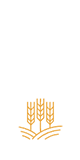 品質(zhì)優(yōu)，服務(wù)好